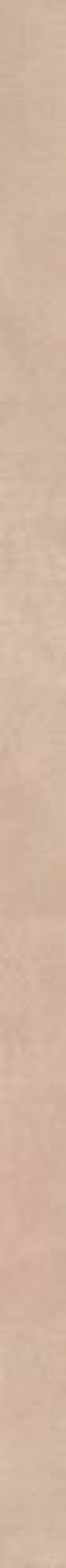 Плитка Imola Rtn6 Terra 5120 Rtn6Terra5120 120x5 7мм матовая Плитка Imola Rtn6 Terra 5120 Rtn6Terra5120 120x5 7мм матовая