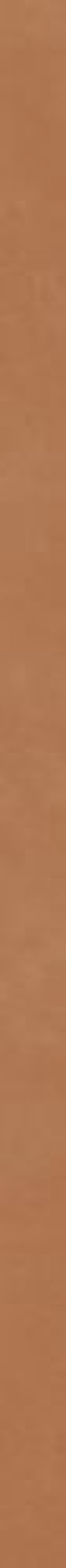 Плитка Imola Rtn6 Aranc 5120 Rtn6Aranc5120 120x5 7мм матовая Плитка Imola Rtn6 Aranc 5120 Rtn6Aranc5120 120x5 7мм матовая