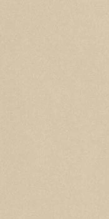 Плитка Imola 120x60 11мм Prtu 12A Lv Prtu12Alv глянцевая бежевый Плитка Imola 120x60 11мм Prtu 12A Lv Prtu12Alv глянцевая бежевый