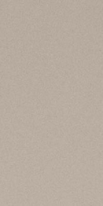 Плитка Imola 120x60 11мм Prtu 12Ag Rm Prtu12Agrm матовая серый Плитка Imola 120x60 11мм Prtu 12Ag Rm Prtu12Agrm матовая серый