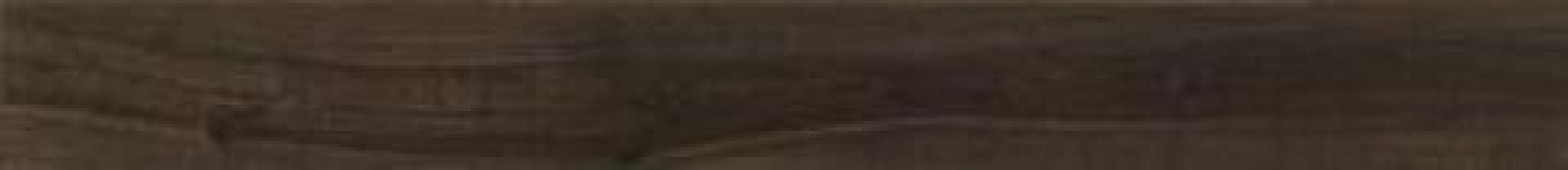 Плитка Imola 120x20 10мм Kuni 2012Ts Kuni2012Ts Плитка Imola 120x20 10мм Kuni 2012Ts Kuni2012Ts