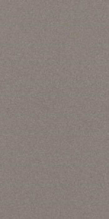 Плитка Imola Prtu 12G Lv Prtu12Glv 120x60 11мм глянцевая серый Плитка Imola Prtu 12G Lv Prtu12Glv 120x60 11мм глянцевая серый