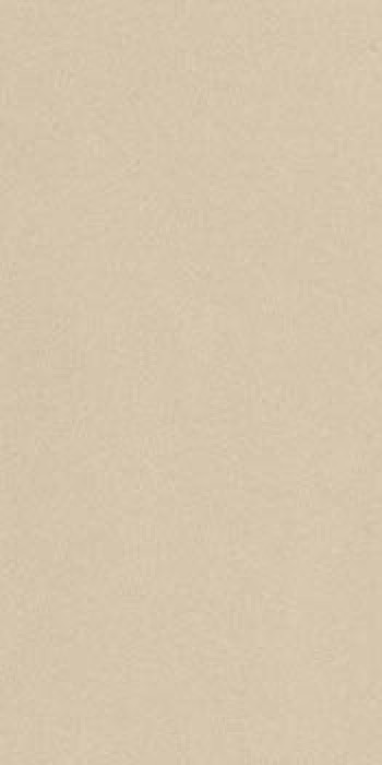 Плитка Imola Prtu 12A Rm Prtu12Arm 120x60 11мм матовая бежевый Плитка Imola Prtu 12A Rm Prtu12Arm 120x60 11мм матовая бежевый