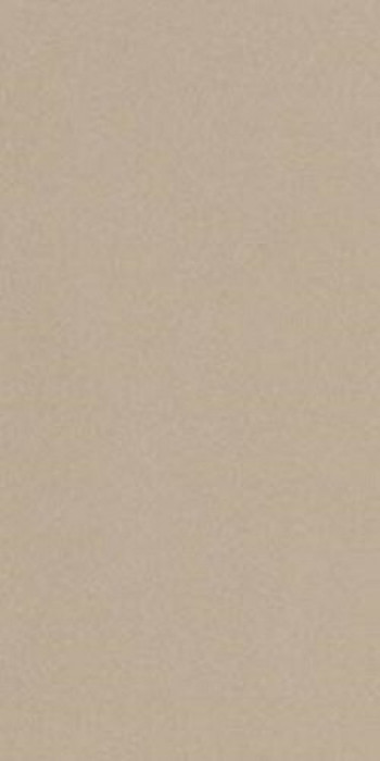 Плитка Imola Prtu 12B Lv Prtu12Blv 120x60 11мм глянцевая бежевый Плитка Imola Prtu 12B Lv Prtu12Blv 120x60 11мм глянцевая бежевый