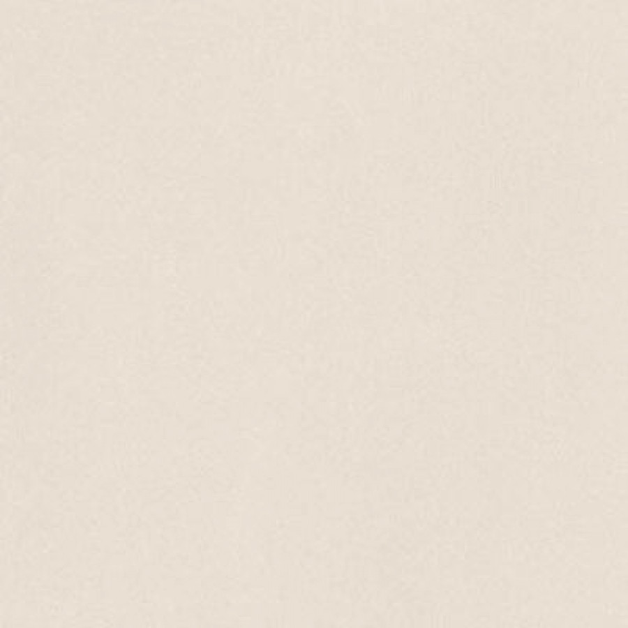 Плитка Imola Prtu 60W Rm Prtu60Wrm 60x60 11мм матовая белый Плитка Imola Prtu 60W Rm Prtu60Wrm 60x60 11мм матовая белый