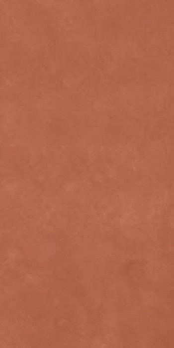 Плитка Imola Rtn6 Carmi12 Rm Rtn6Carmi12Rm 120x60 7мм матовая Плитка Imola Rtn6 Carmi12 Rm Rtn6Carmi12Rm 120x60 7мм матовая