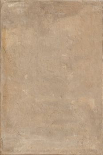 Плитка Imola Tcot Emi 69Asrm Tcotemi69Asrm 90x60 20мм матовая Плитка Imola Tcot Emi 69Asrm Tcotemi69Asrm 90x60 20мм матовая