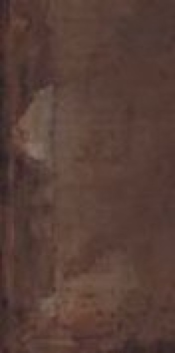 Плитка Imola Tube 12T Rm Tube12Trm 120x60 10мм матовая коричневый Плитка Imola Tube 12T Rm Tube12Trm 120x60 10мм матовая коричневый