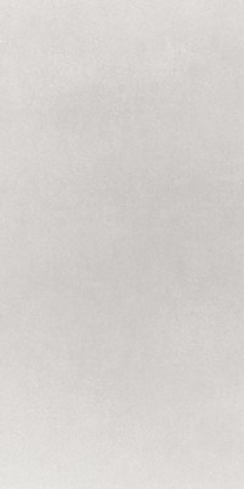 Плитка Imola M20 12W M2.012W 120x60 11мм Плитка Imola M20 12W M2.012W 120x60 11мм