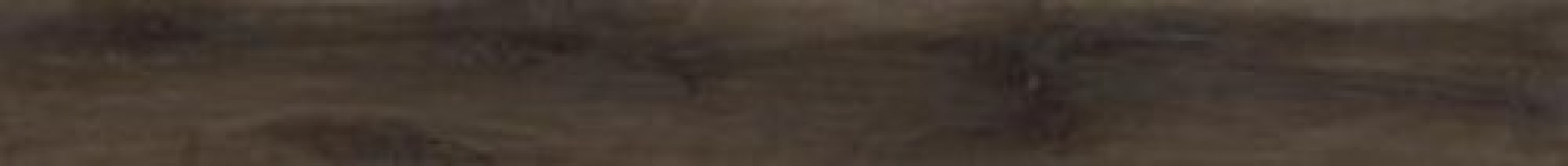 Плитка Imola Kuni 2018T Kuni2018T 180x20 10мм Плитка Imola Kuni 2018T Kuni2018T 180x20 10мм