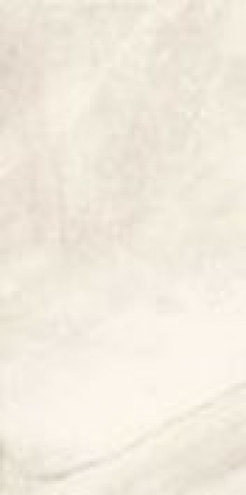 Плитка Imola Gnsg 12W Rm Gnsg12Wrm 120x60 11мм Плитка Imola Gnsg 12W Rm Gnsg12Wrm 120x60 11мм