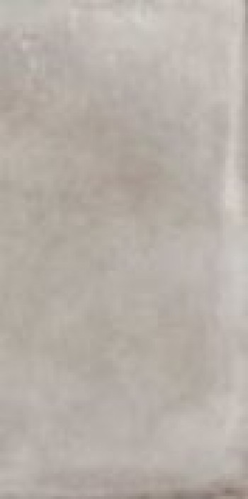 Плитка Imola Orgn 36G Rm Orgn36Grm 60x30 10мм Плитка Imola Orgn 36G Rm Orgn36Grm 60x30 10мм