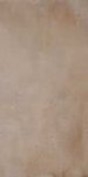 Плитка Imola Orgn 36Cp Rm Orgn36Cprm 60x30 10мм Плитка Imola Orgn 36Cp Rm Orgn36Cprm 60x30 10мм