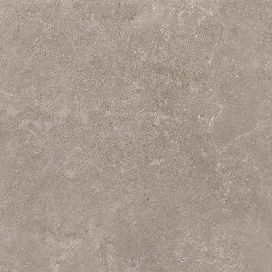 Керамогранит RC Shell DG 60x60 9.5мм матовая Creto Керамогранит RC Shell DG 60x60 9.5мм матовая Creto