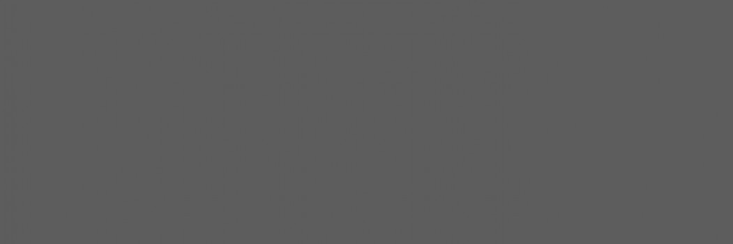 Плитка Cersanit Manhattan облицовочная серая C-MAS091 глазурованная матовая 60x20 Плитка Cersanit Manhattan облицовочная серая C-MAS091 глазурованная матовая 60x20