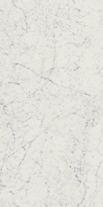 Плитка Италон Charme Extra Carrara Lux Шарм Экстра Каррара Люкс 610015000368 глянцевая белый мрамор 120x60 9мм Плитка Италон Charme Extra Carrara Lux Шарм Экстра Каррара Люкс 610015000368 глянцевая белый мрамор 120x60 9мм