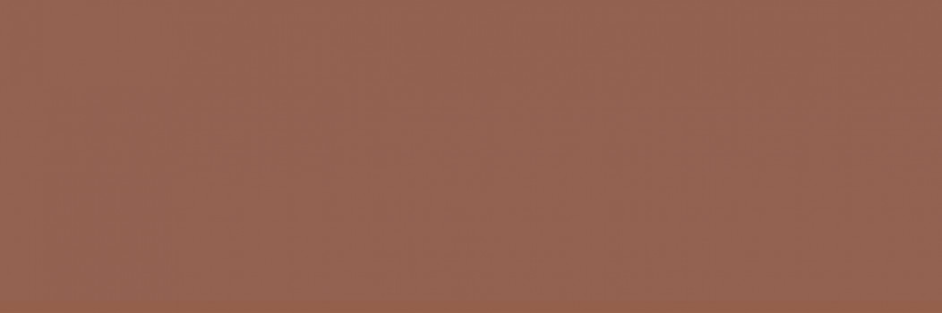 Керамическая плитка HRL000028 Garden Marron Liso 30x10 для стен глянцевая Heralgi Керамическая плитка HRL000028 Garden Marron Liso 30x10 для стен глянцевая Heralgi