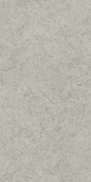 Керамогранит 120x60 9мм 610010004168 Форум Стоун Сильвер натуральная Италон Керамогранит 120x60 9мм 610010004168 Форум Стоун Сильвер натуральная Италон