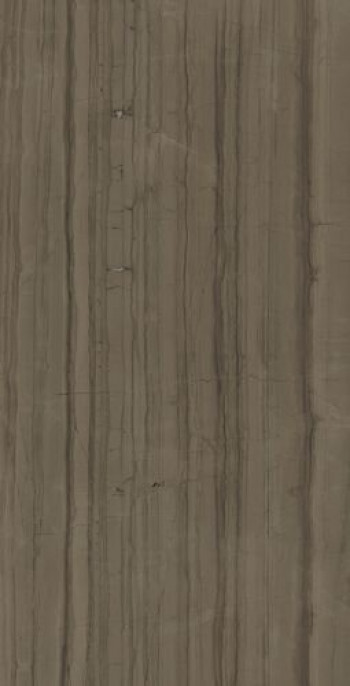 Плитка Италон Charme Advance Elegant Brown Ret 610010002163 матовая коричневый камень 160x80 9мм Плитка Италон Charme Advance Elegant Brown Ret 610010002163 матовая коричневый камень 160x80 9мм