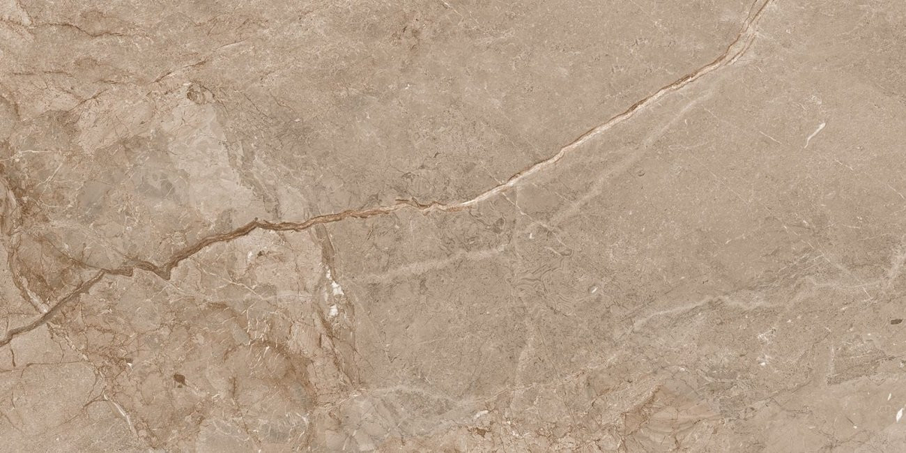 Керамический гранит OC0000141 Lambert Brown 120x60 для пола и стен carving Ocean Ceramic India New Керамический гранит OC0000141 Lambert Brown 120x60 для пола и стен carving Ocean Ceramic India New