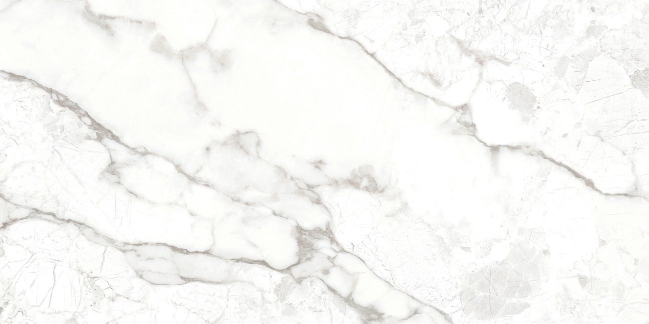 Керамический гранит OC0000176 Breccia Bianco 120x60 для пола и стен матовая Ocean Ceramic India New Керамический гранит OC0000176 Breccia Bianco 120x60 для пола и стен матовая Ocean Ceramic India New