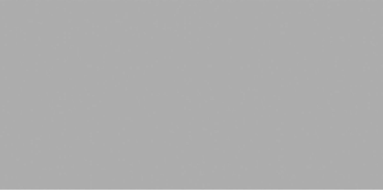 Керамический гранит OC0000203 Exotic Light Grey Matt 120x60 для пола и стен матовая Ocean Ceramic India New Керамический гранит OC0000203 Exotic Light Grey Matt 120x60 для пола и стен матовая Ocean Ceramic India New