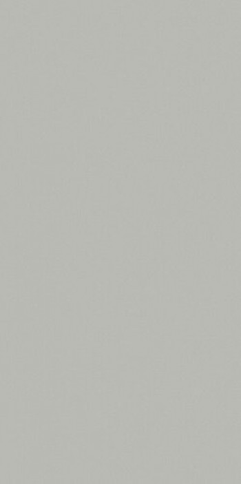 Плитка Cerim Crayons Cerim Old Lace Nat 120X240R 767235 240x120 6мм матовая серый однотонная Плитка Cerim Crayons Cerim Old Lace Nat 120X240R 767235 240x120 6мм матовая серый однотонная