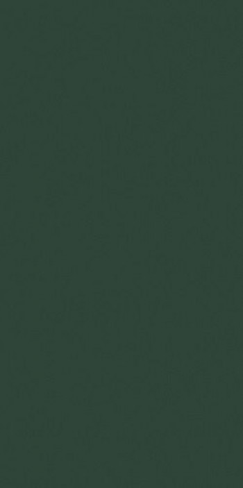 Плитка Cerim Crayons Cerim Moss Nat 60X120R 767268 120x60 6мм матовая зеленый однотонная Плитка Cerim Crayons Cerim Moss Nat 60X120R 767268 120x60 6мм матовая зеленый однотонная