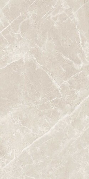 Плитка Cerim Elemenstwhite Dolomia Nat Ret 766512 120x60 9мм Плитка Cerim Elemenstwhite Dolomia Nat Ret 766512 120x60 9мм