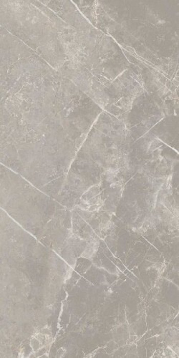 Плитка Cerim Elemenstgrey Dolomia Nat Ret 766526 120x60 9мм Плитка Cerim Elemenstgrey Dolomia Nat Ret 766526 120x60 9мм