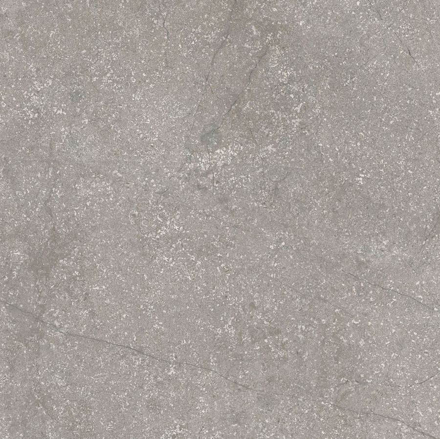 Плитка Cerim Stone Life Haze Rett 778704 60x60 9мм матовая Плитка Cerim Stone Life Haze Rett 778704 60x60 9мм матовая