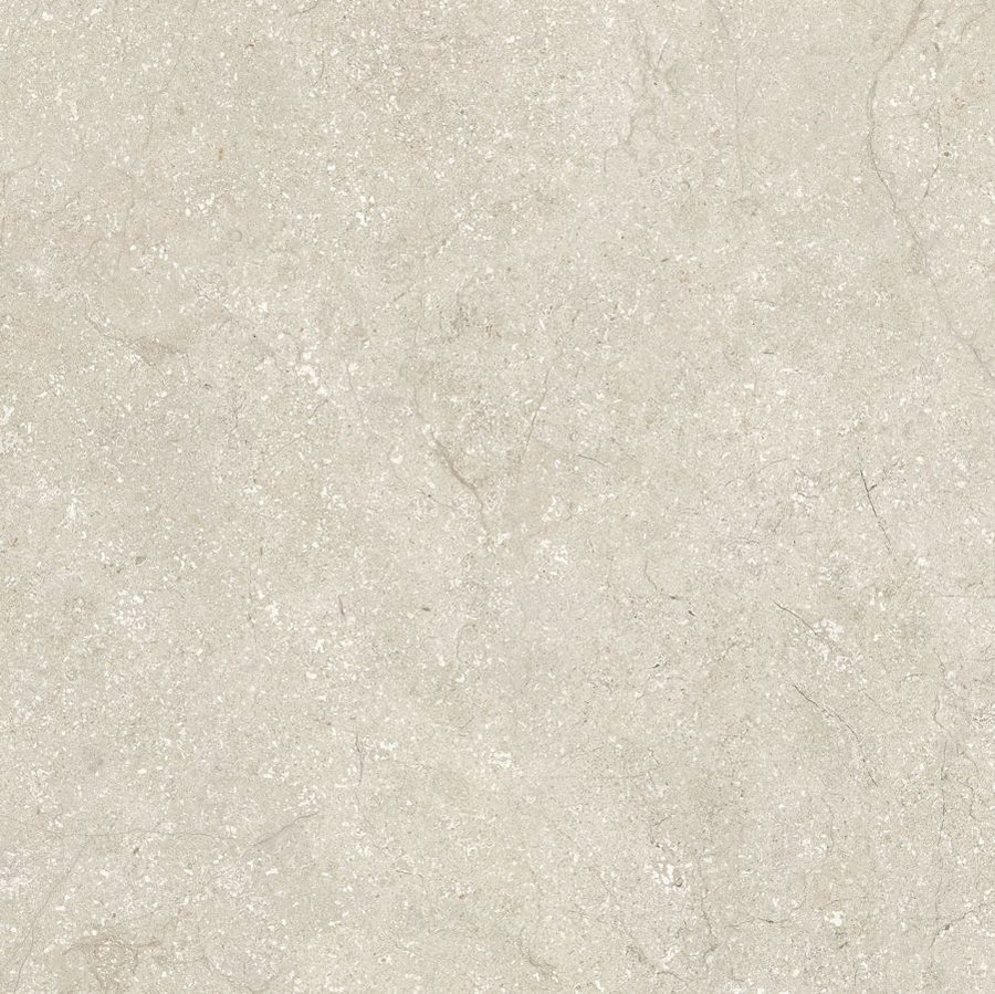 Плитка Cerim Stone Life Shell Rett 778698 60x60 9мм матовая Плитка Cerim Stone Life Shell Rett 778698 60x60 9мм матовая