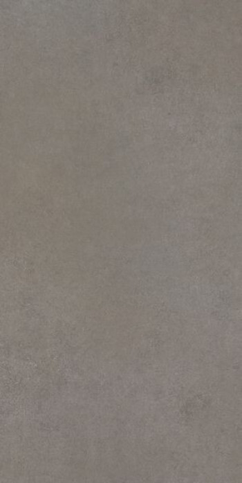 Плитка Cerim Easy Life Grey Salt Grip 60X120Ret 780886 120x60 20мм Плитка Cerim Easy Life Grey Salt Grip 60X120Ret 780886 120x60 20мм