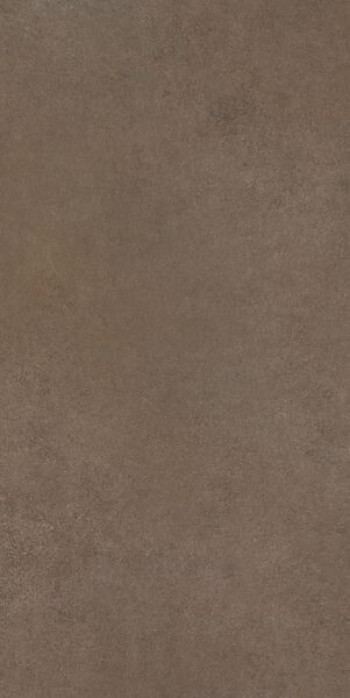 Плитка Cerim Easy Life Mushroom Matte Ret 780802 120x60 9мм матовая Плитка Cerim Easy Life Mushroom Matte Ret 780802 120x60 9мм матовая