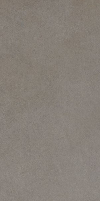 Плитка Cerim Easy Life Grey Salt Silk M Ret 780844 60x30 9мм Плитка Cerim Easy Life Grey Salt Silk M Ret 780844 60x30 9мм