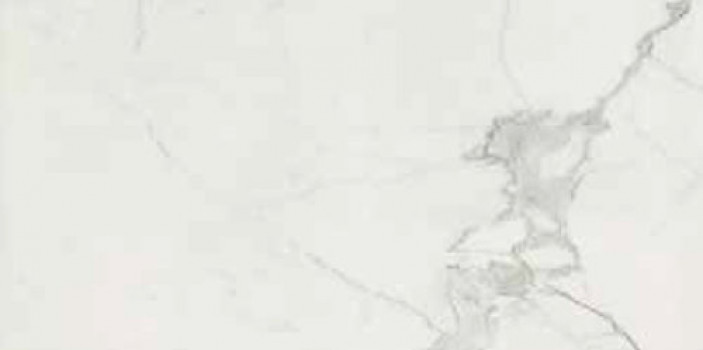 Плитка Cerim Timeless Calacatta Luc Ret 744884 120x60 9мм глянцевая белый мрамор Плитка Cerim Timeless Calacatta Luc Ret 744884 120x60 9мм глянцевая белый мрамор