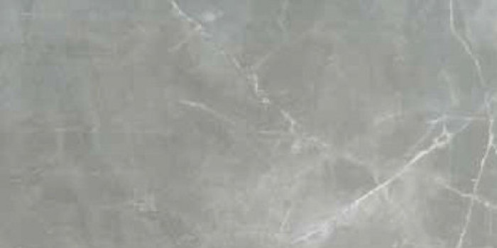 Плитка Cerim Timeless Amani Grey Nat Ret 744878 120x60 9мм матовая серый мрамор Плитка Cerim Timeless Amani Grey Nat Ret 744878 120x60 9мм матовая серый мрамор