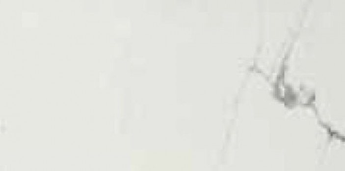 Плитка Cerim Timeless Calacatta Grip Ret 746807 60x30 9мм шершавая белый мрамор Плитка Cerim Timeless Calacatta Grip Ret 746807 60x30 9мм шершавая белый мрамор