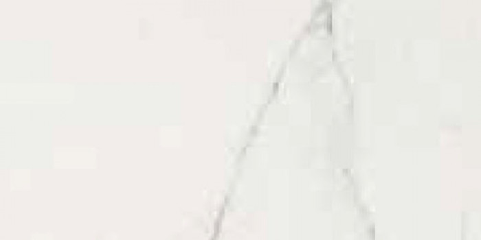 Плитка Cerim Timeless Calacatta Luc Ret 746808 60x30 9мм глянцевая белый мрамор Плитка Cerim Timeless Calacatta Luc Ret 746808 60x30 9мм глянцевая белый мрамор