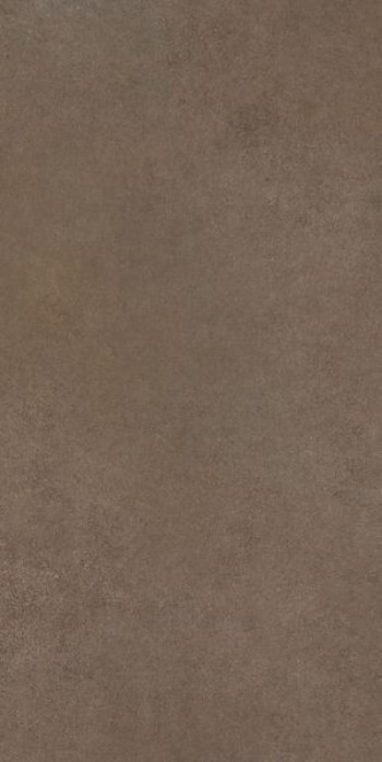 Плитка Cerim 120x60 9мм Easy Life Mushroom Silk M Ret 780811 Плитка Cerim 120x60 9мм Easy Life Mushroom Silk M Ret 780811