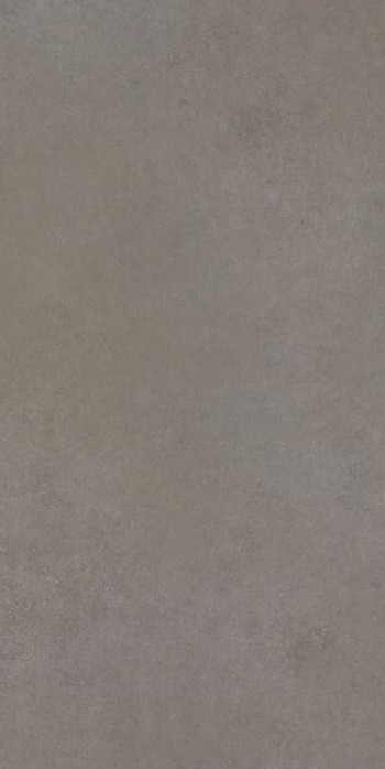 Плитка Cerim 120x60 9мм Easy Life Grey Salt Silk M Ret 780812 Плитка Cerim 120x60 9мм Easy Life Grey Salt Silk M Ret 780812