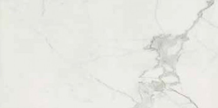 Плитка Cerim 120x60 9мм Timeless Calacatta Luc Ret 744884 глянцевая белый мрамор Плитка Cerim 120x60 9мм Timeless Calacatta Luc Ret 744884 глянцевая белый мрамор