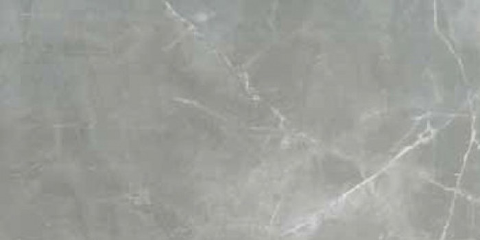 Керамогранит Cerim 120x60 9мм Timeless Amani Grey Luc Ret 746377 глянцевая серый мрамор Керамогранит Cerim 120x60 9мм Timeless Amani Grey Luc Ret 746377 глянцевая серый мрамор