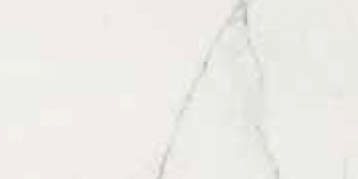 Плитка Cerim 60x30 9мм Timeless Calacatta Luc Ret 746808 глянцевая белый мрамор Плитка Cerim 60x30 9мм Timeless Calacatta Luc Ret 746808 глянцевая белый мрамор