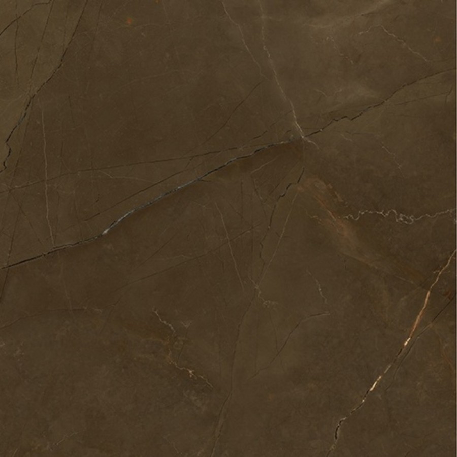 Керамогранит 120x120 Premium Pupils Matt матовый под мрамор коричневый 9мм MN338BYK121209 Zodiac Керамогранит 120x120 Premium Pupils Matt матовый под мрамор коричневый 9мм MN338BYK121209 Zodiac