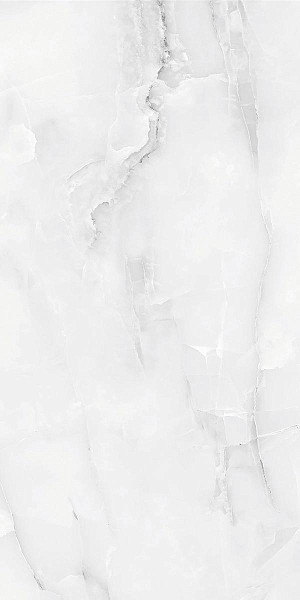 Absolut Gres SNOW ONIX GREY керамогранит полированный 60х120 см 1182G Absolut Gres SNOW ONIX GREY керамогранит полированный 60х120 см 1182G