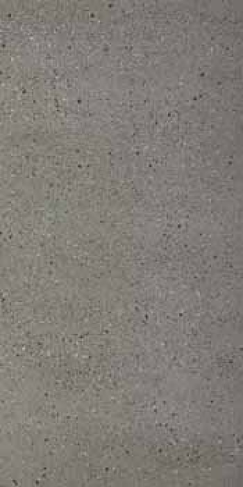 Плитка Leonardo Ovrc 12G Lll Ovrc12Glll 120x60 глянцевая темно-серый Плитка Leonardo Ovrc 12G Lll Ovrc12Glll 120x60 глянцевая темно-серый