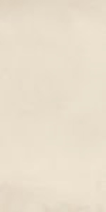 Плитка Leonardo Fact 12W Rm Fact12Wrm 120x60 Плитка Leonardo Fact 12W Rm Fact12Wrm 120x60