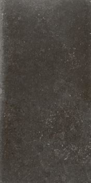 Плитка Leonardo Cmne 12N Rm Cmne12Nrm 120x60 матовая черный Плитка Leonardo Cmne 12N Rm Cmne12Nrm 120x60 матовая черный