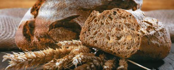 Плитка 58x24 Eden decor smak2 декор настенный глянцевая Unicer Плитка 58x24 Eden decor smak2 декор настенный глянцевая Unicer